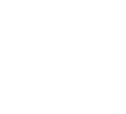 logo branco Flávia Figer